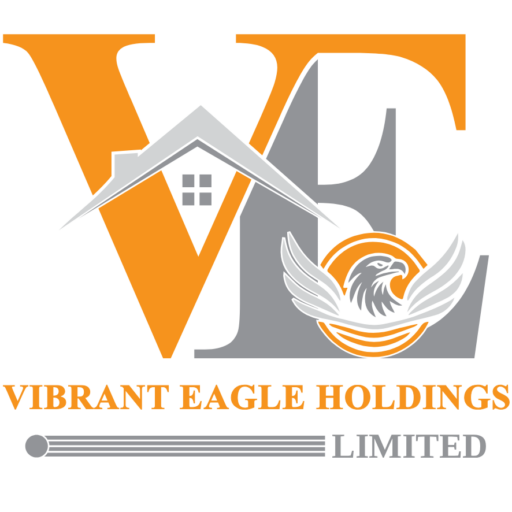 Vibrant Eagle-Holdings Limited